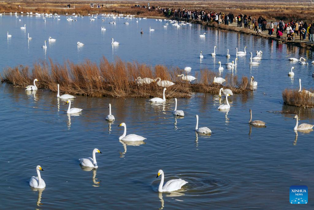 Winter scenery across China