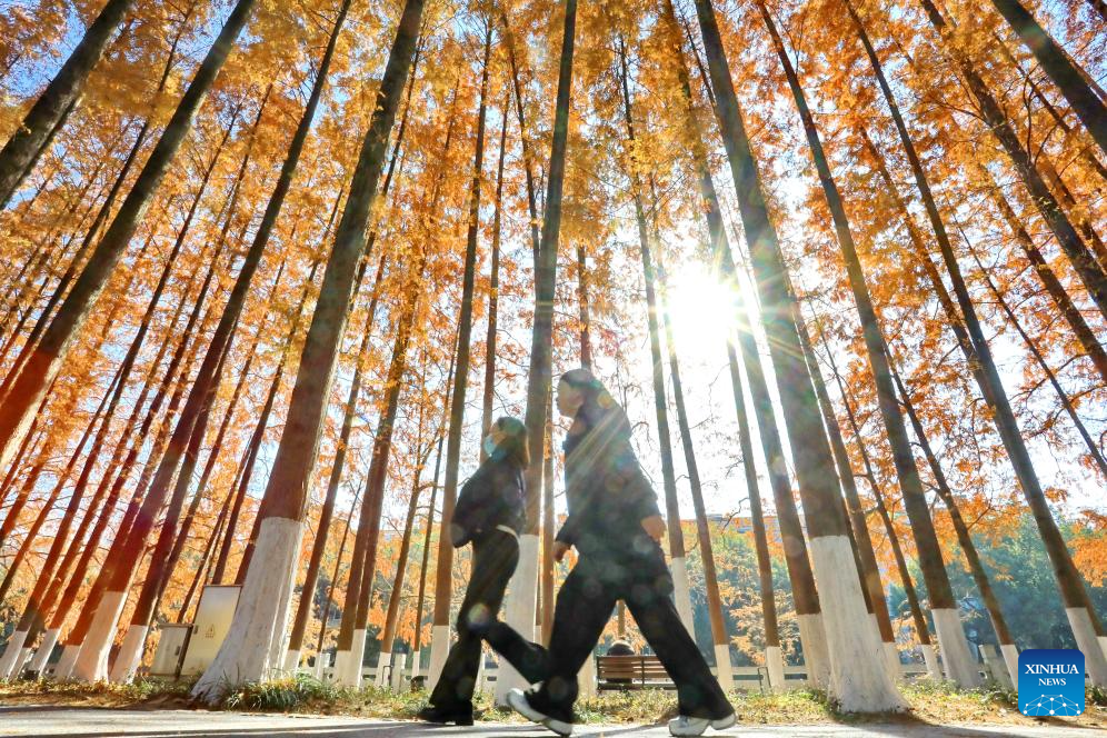 Winter scenery across China