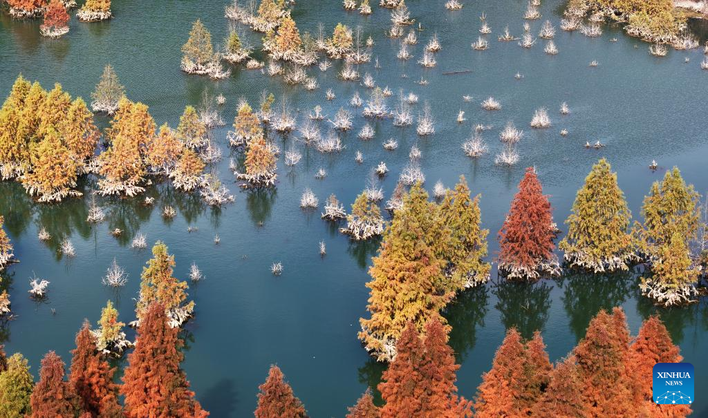 Winter scenery across China