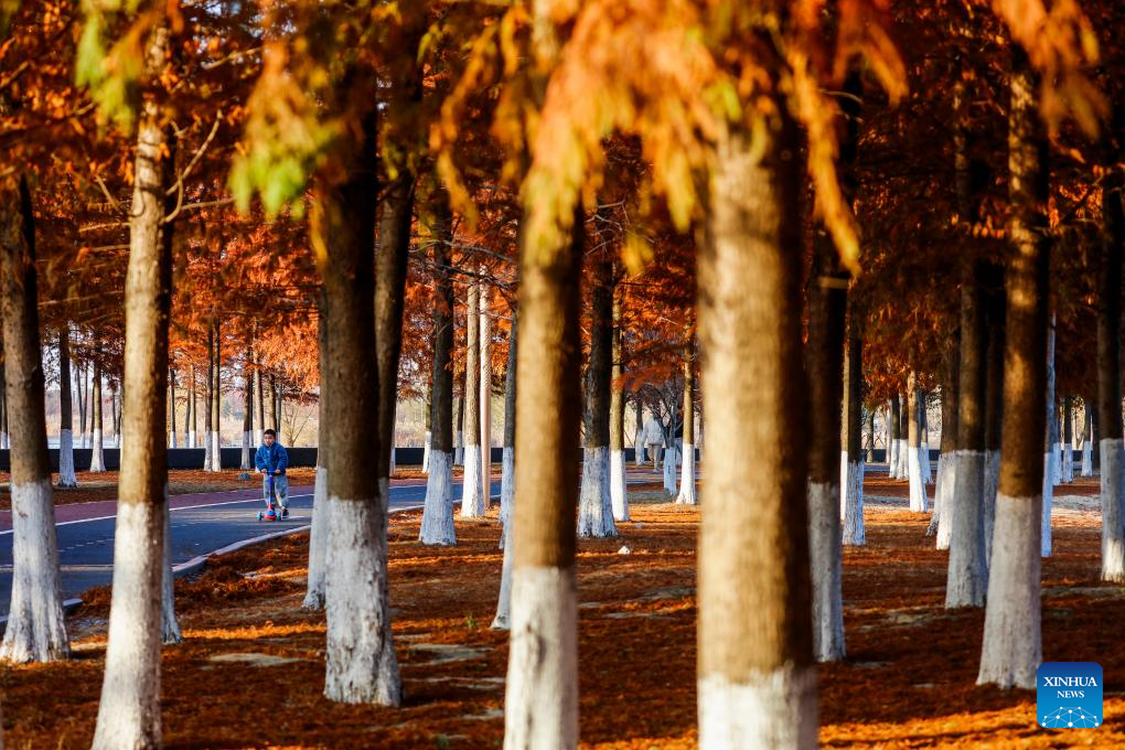 Winter scenery across China