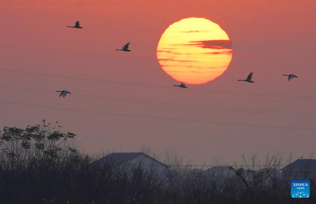 Winter scenery across China