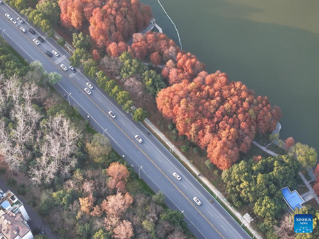 Winter scenery across China