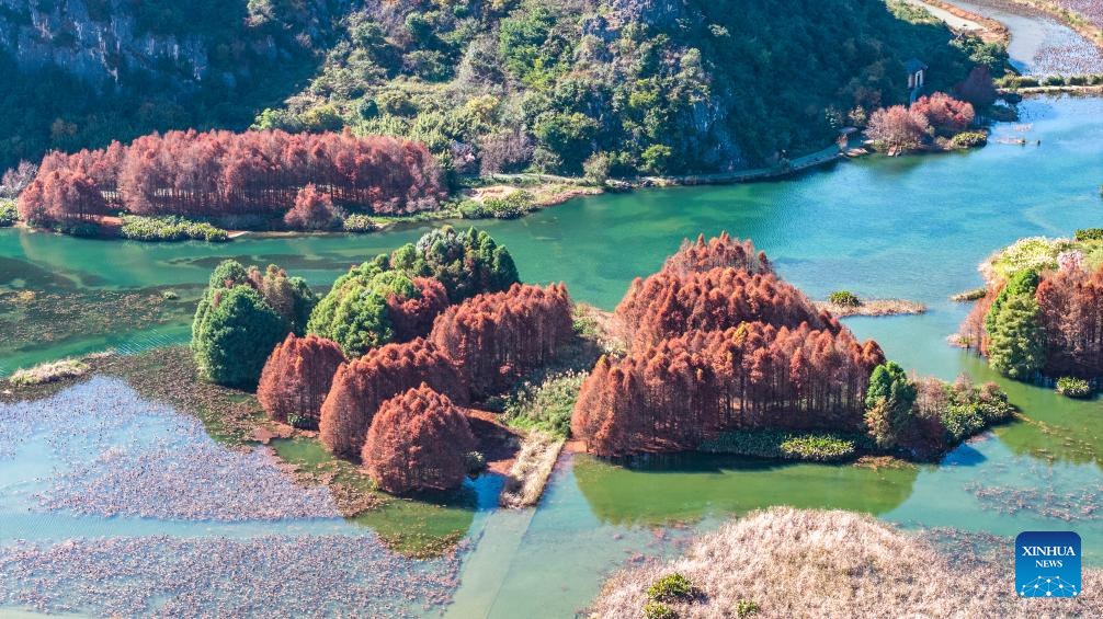 Picturesque winter scenery in China