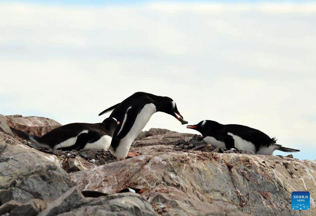View of Antarctica
