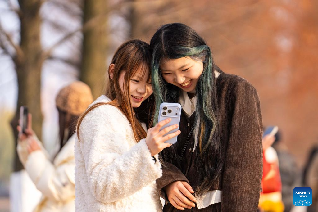 People enjoy metasequoia tree leaves in Changsha, China's Hunan