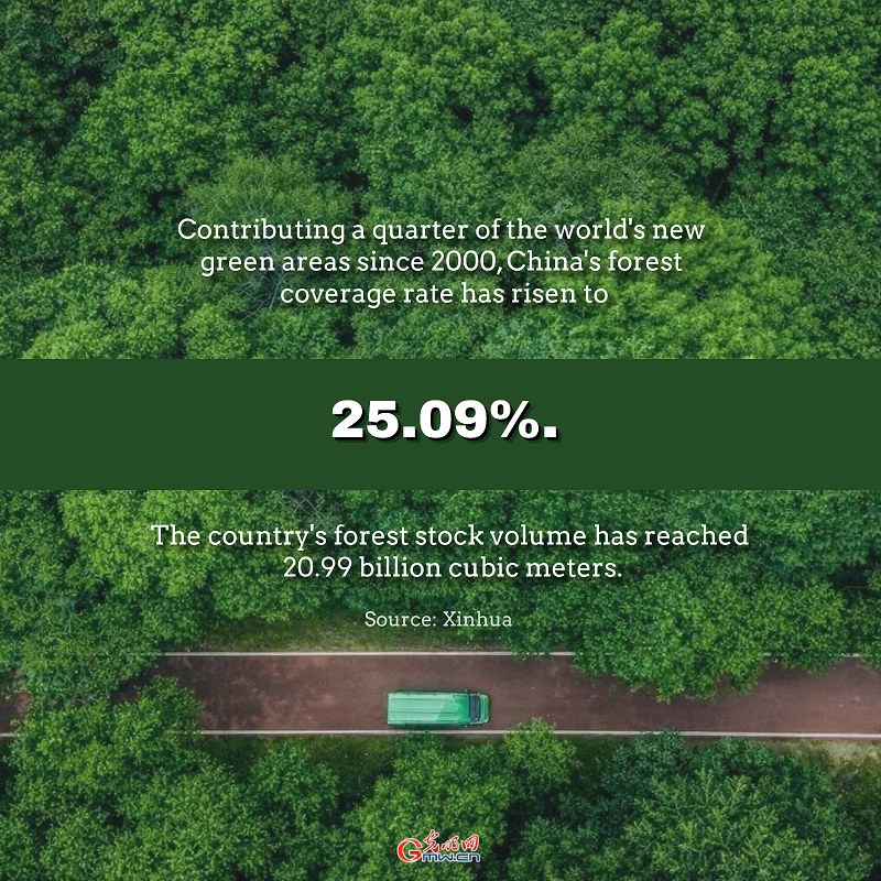 Posters | China advances environmental protection and harmony with nature Posters | China advances environmental protection and harmony with nature