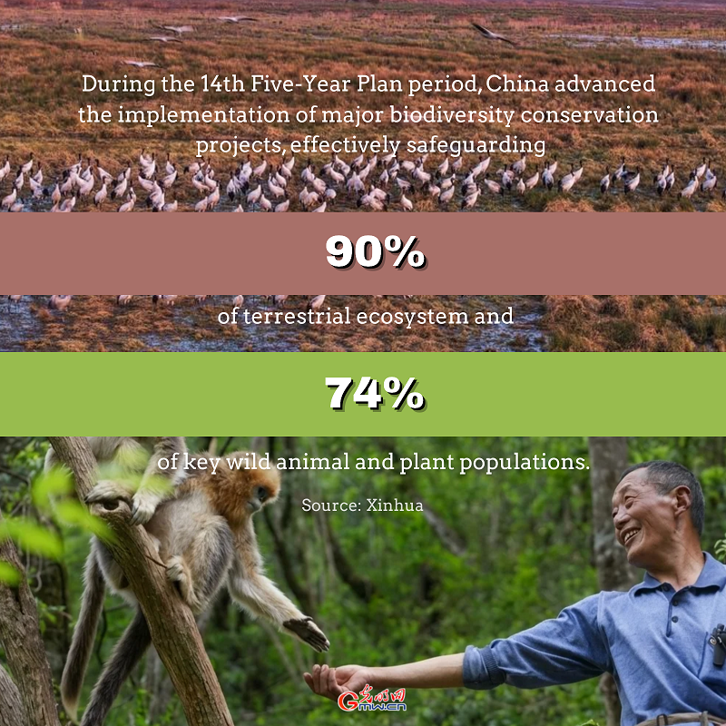 Posters | China advances environmental protection and harmony with nature Posters | China advances environmental protection and harmony with nature