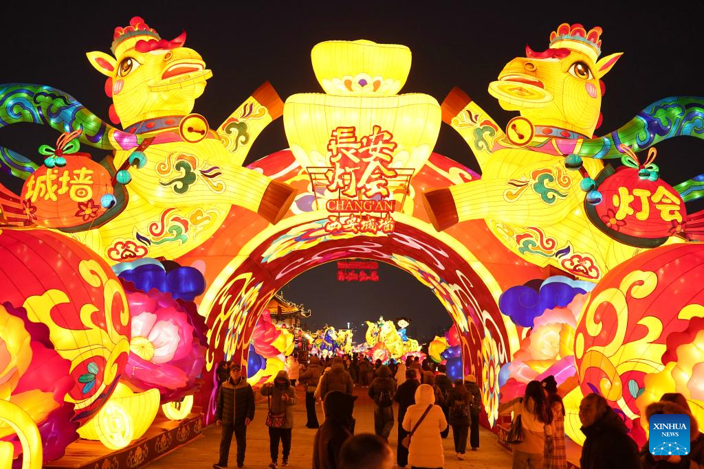 Lantern festival held in China's Xi'an to mark upcoming Chinese Lunar New Year