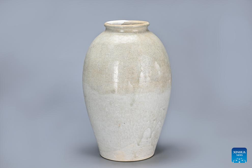 Tang Dynasty tomb with exquisite artifacts unearthed in Xi'an