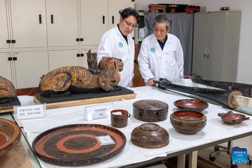 Protection center in Hubei's Jingzhou strives to ensure comprehensive care for organic cultural relics