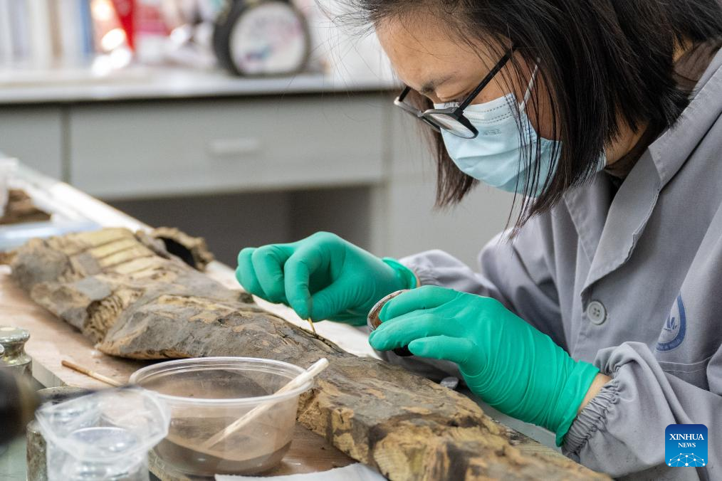 Protection center in Hubei's Jingzhou strives to ensure comprehensive care for organic cultural relics
