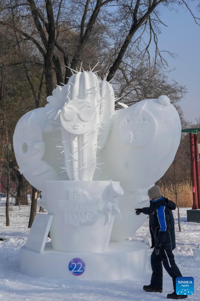 Snow sculpture competition concludes in China's Harbin