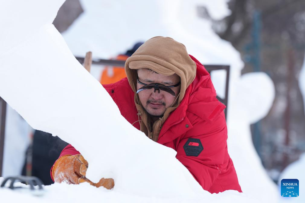 Snow sculpture competition concludes in China's Harbin