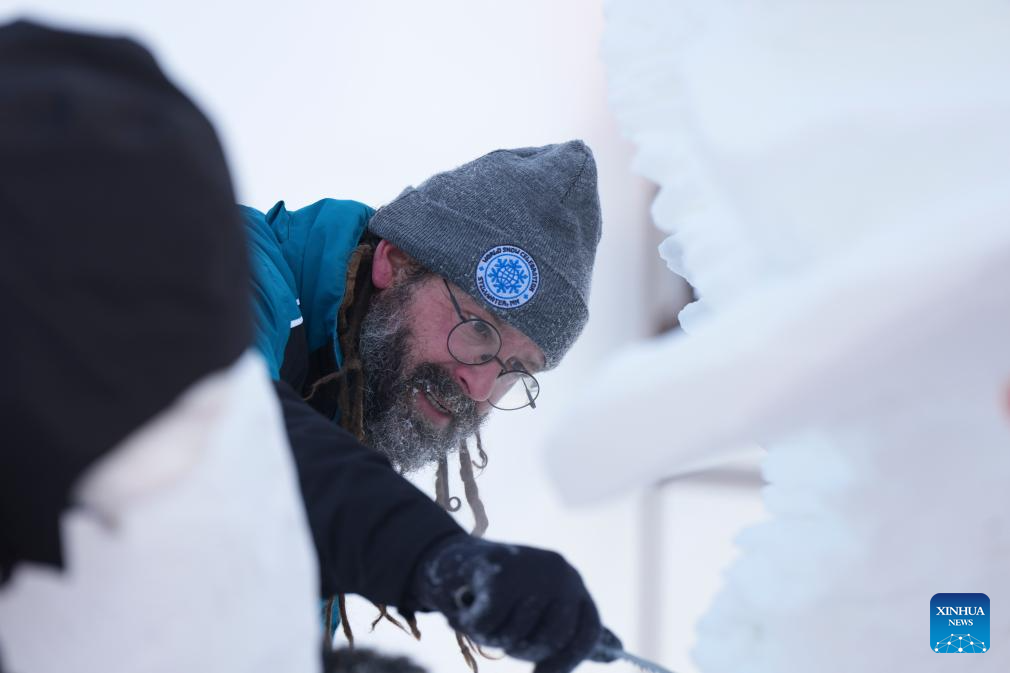 Snow sculpture competition concludes in China's Harbin