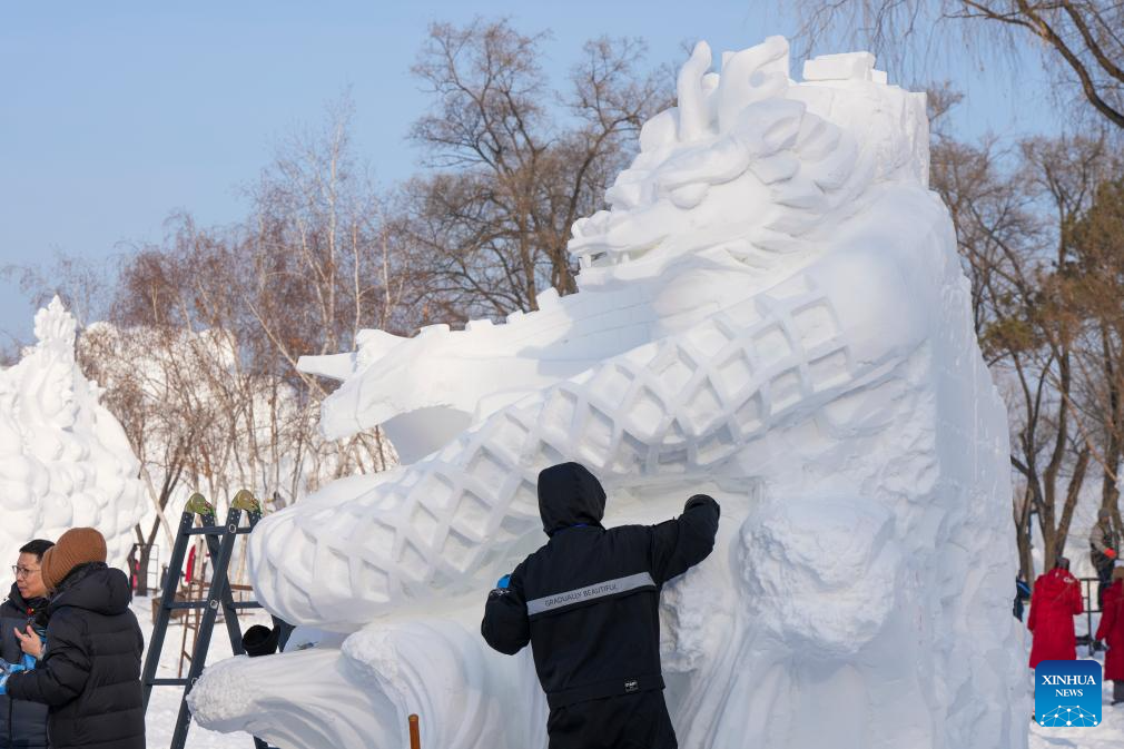 Snow sculpture competition concludes in China's Harbin