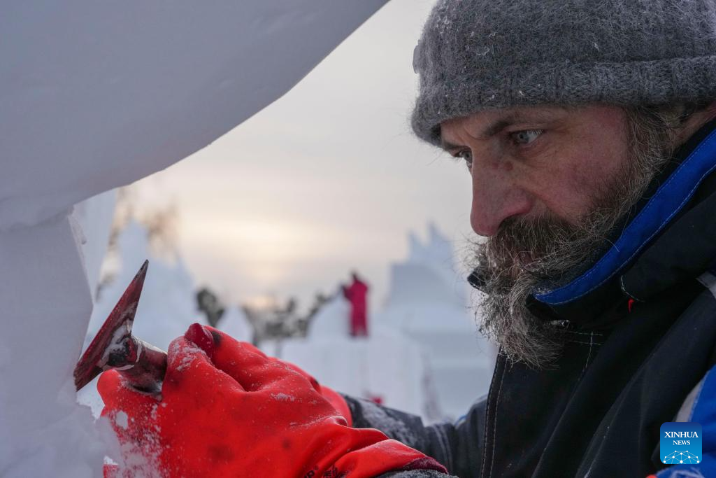 Snow sculpture competition concludes in China's Harbin