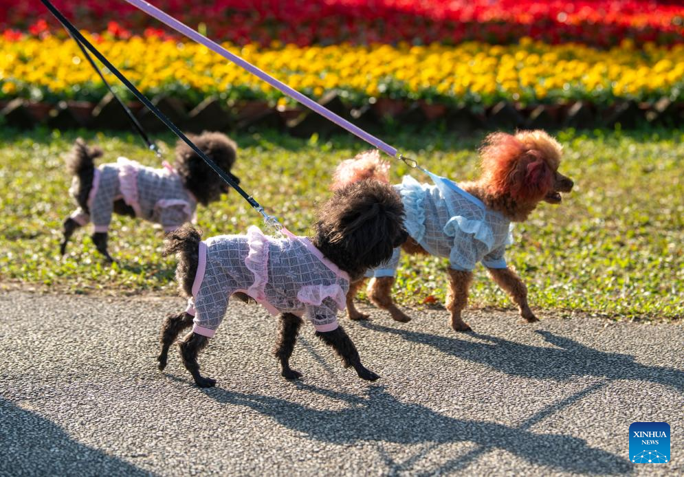 People enjoy leisure time in China's Hainan