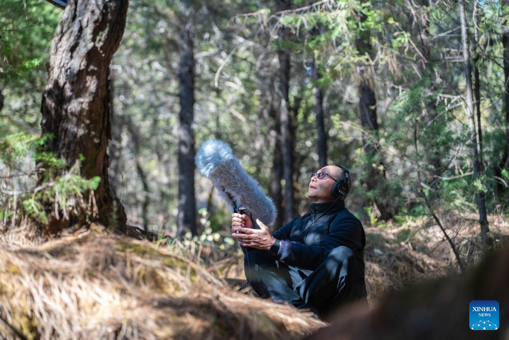 Musician transforms old house into music club in Lijiang, China's Yunnan