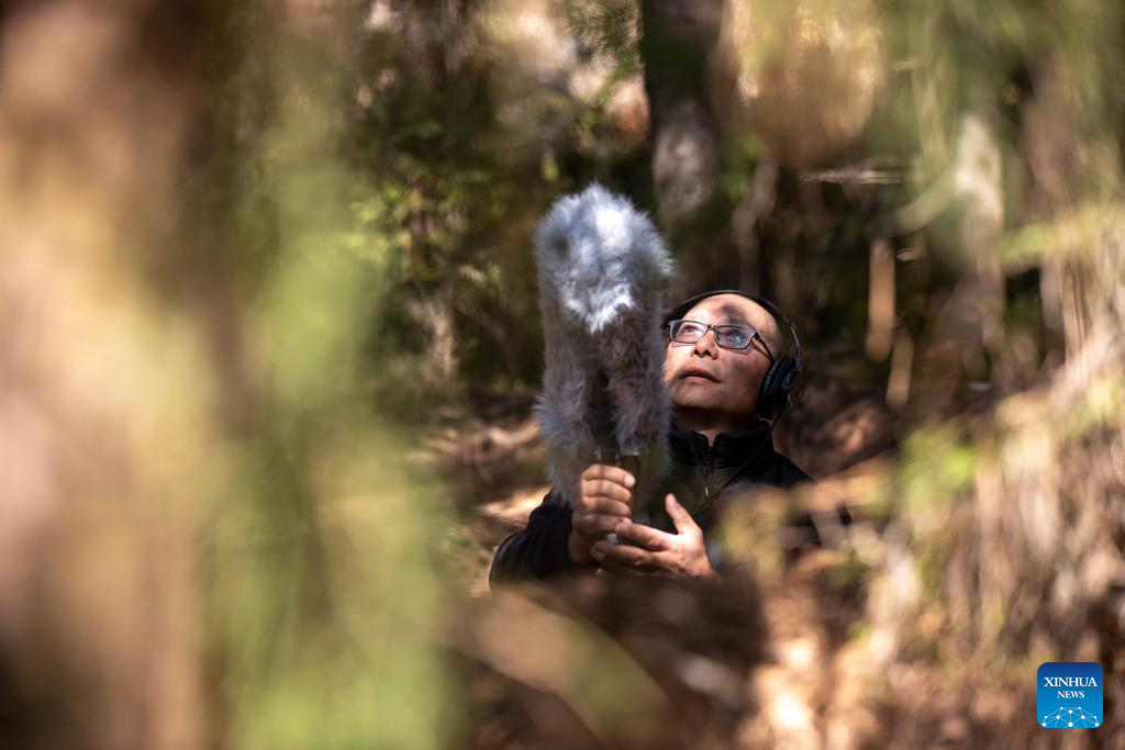 Musician transforms old house into music club in Lijiang, China's Yunnan