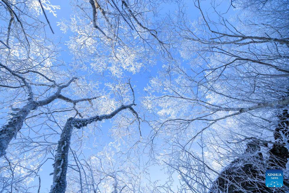 Rime scenery of Qixingshan forest park in Shuangyashan, Heilongjiang
