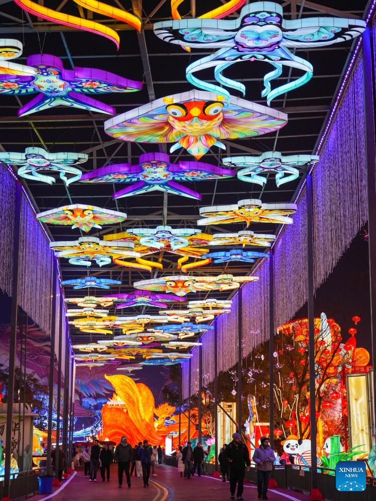 In pics: 32nd Zigong Int'l Dinosaur Lantern Show in China's Sichuan