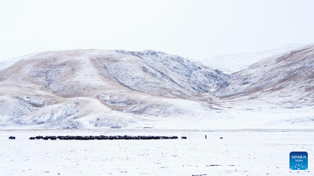 Winter scenery in Zadoi County, NW China's Qinghai