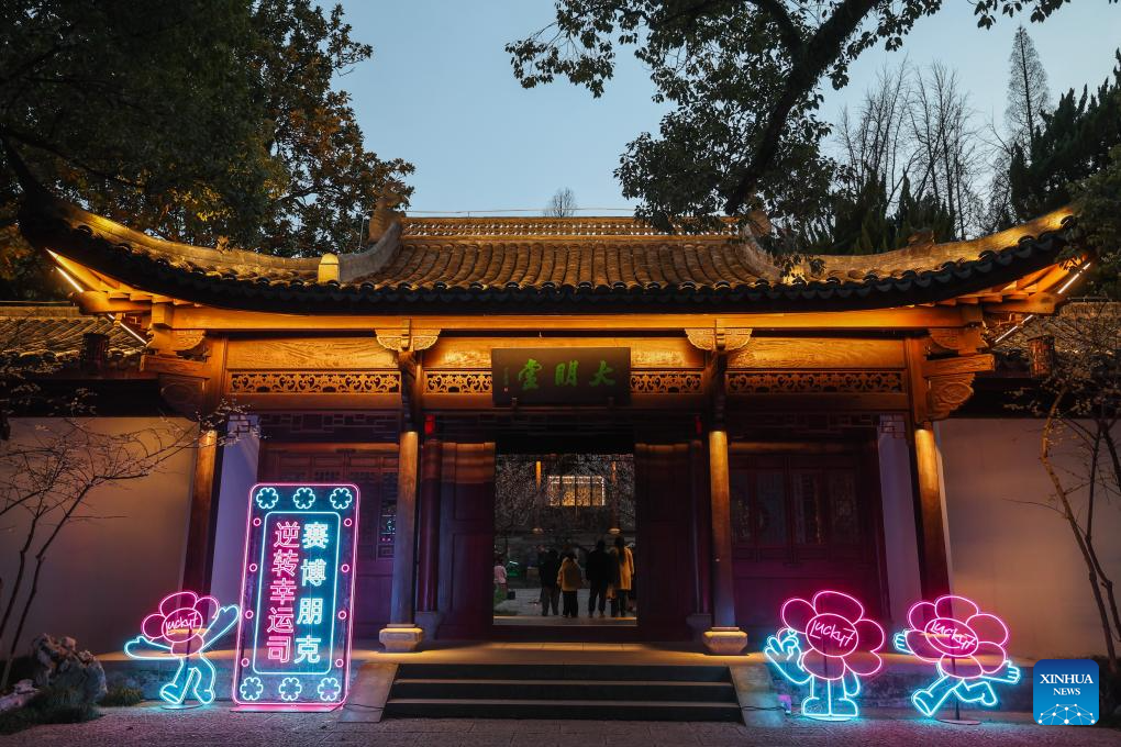 Special night tour event featuring plum blossoms held at Chaoshan scenic area in E China's Hangzhou