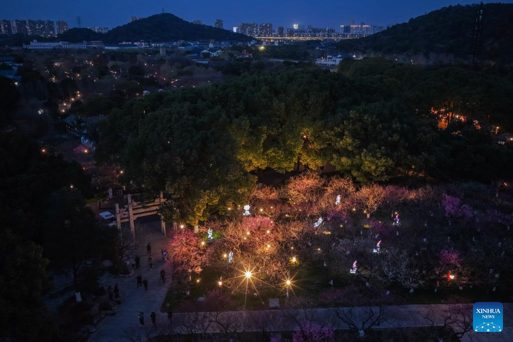 Special night tour event featuring plum blossoms held at Chaoshan scenic area in E China's Hangzhou