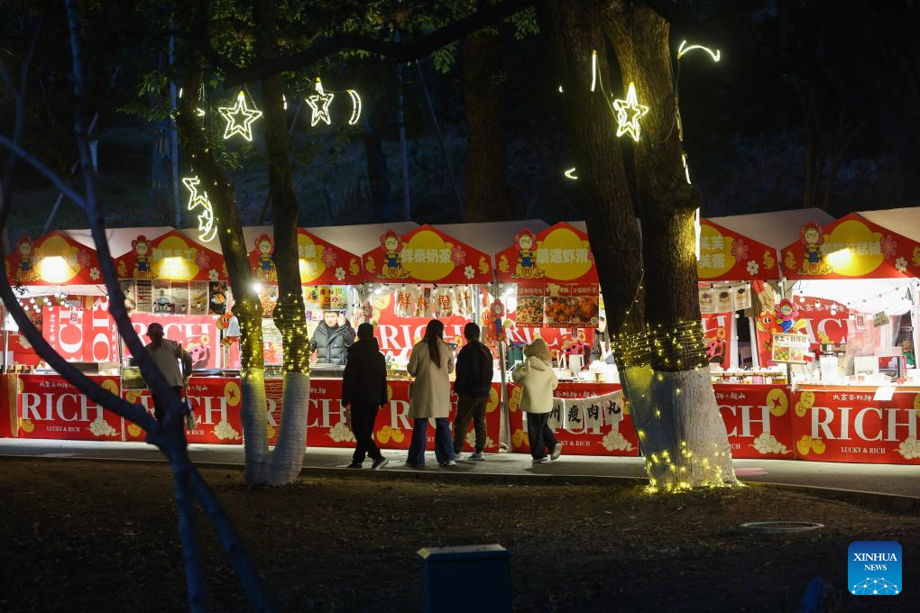 Special night tour event featuring plum blossoms held at Chaoshan scenic area in E China's Hangzhou