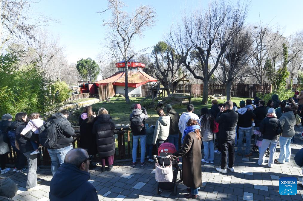 Madrid Zoo holds celebrations for Chinese New Year