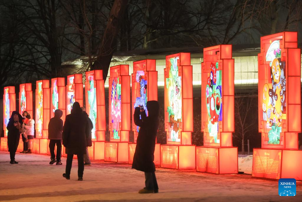 Light installations seen in St. Petersburg to celebrate upcoming Chinese New Year