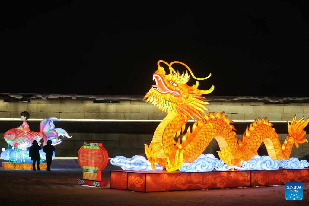Light installations seen in St. Petersburg to celebrate upcoming Chinese New Year