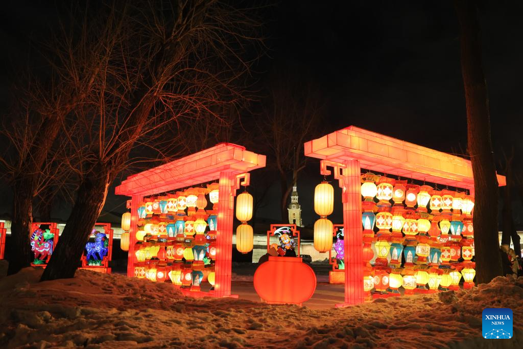 Light installations seen in St. Petersburg to celebrate upcoming Chinese New Year