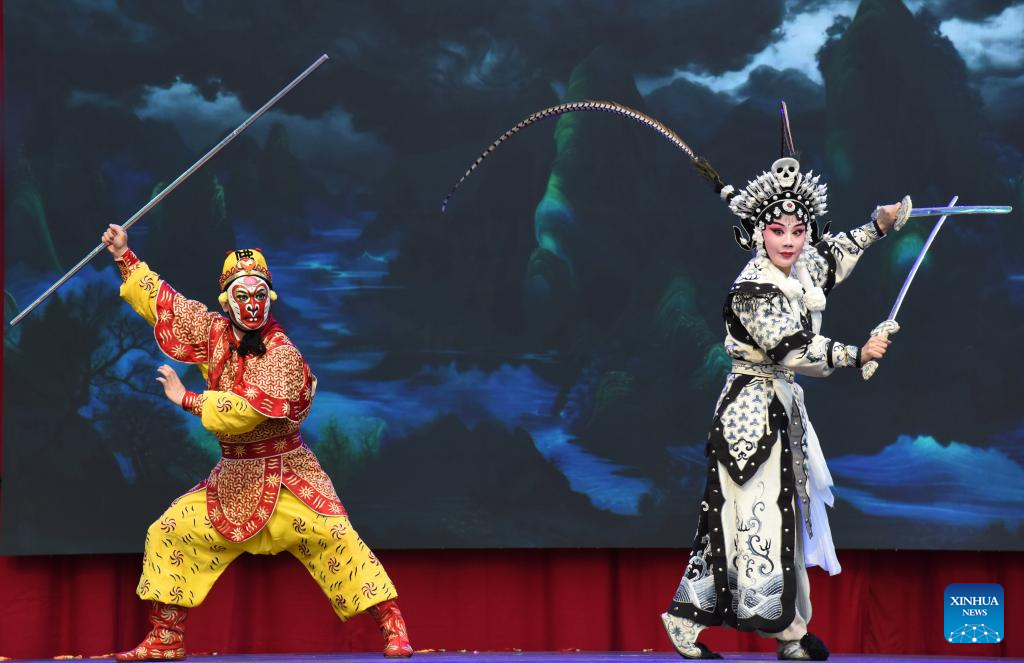 Feature: Chinese Lunar New Year event in The Hague promotes cultural exchange