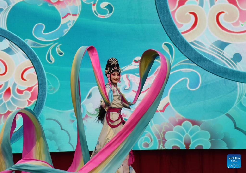 Feature: Chinese Lunar New Year event in The Hague promotes cultural exchange