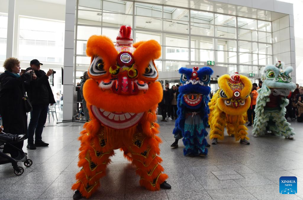 Feature: Chinese Lunar New Year event in The Hague promotes cultural exchange