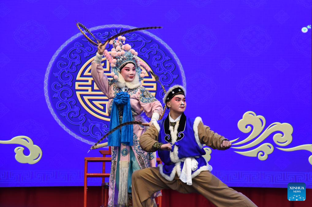 Feature: Chinese Lunar New Year event in The Hague promotes cultural exchange