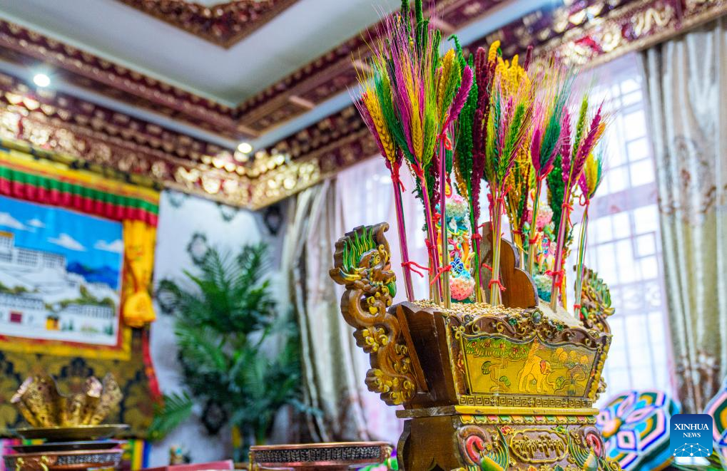 Tibetan New Year celebrated in Lhasa, China's Xizang