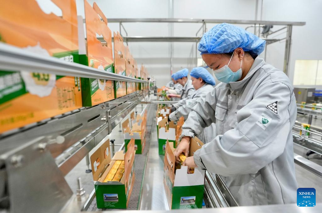 Factories and companies across China resume work after Spring Festival holiday