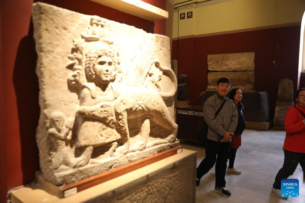 Chinese tourists spend Spring Festival exploring Egypt's ancient wonders