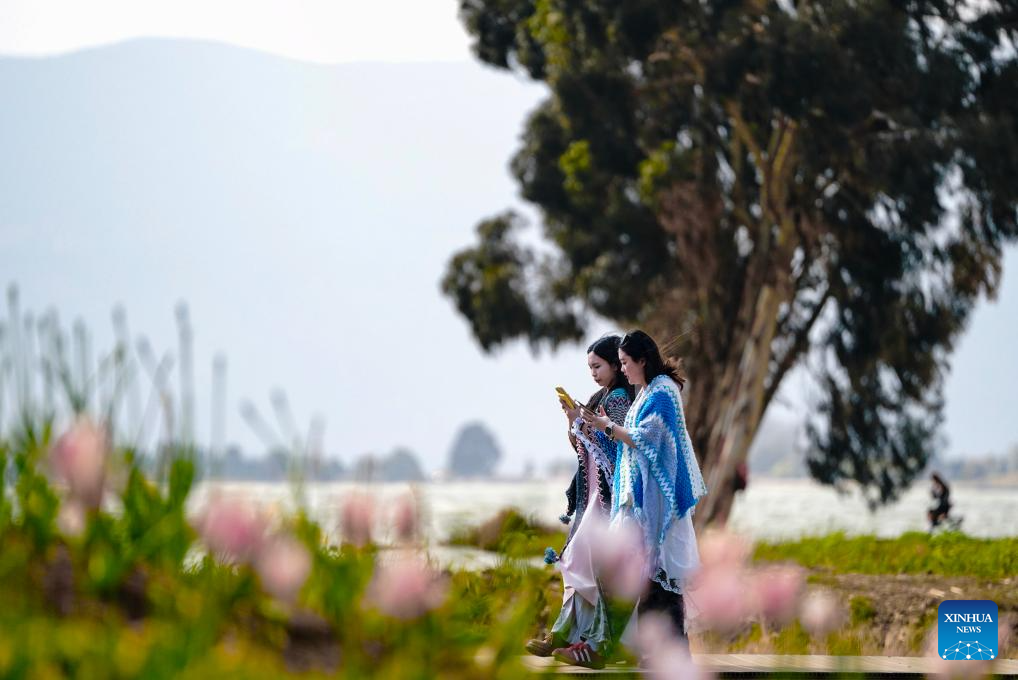 Spring scenery of Dianchi Lake attracts tourists in SW China's Yunnan