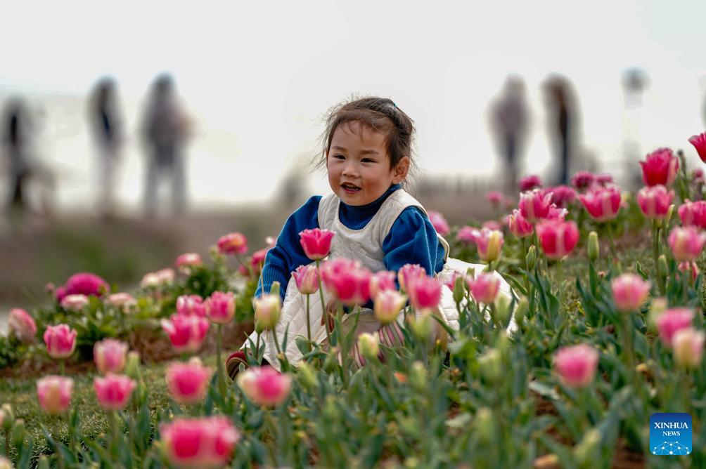 Spring scenery of Dianchi Lake attracts tourists in SW China's Yunnan