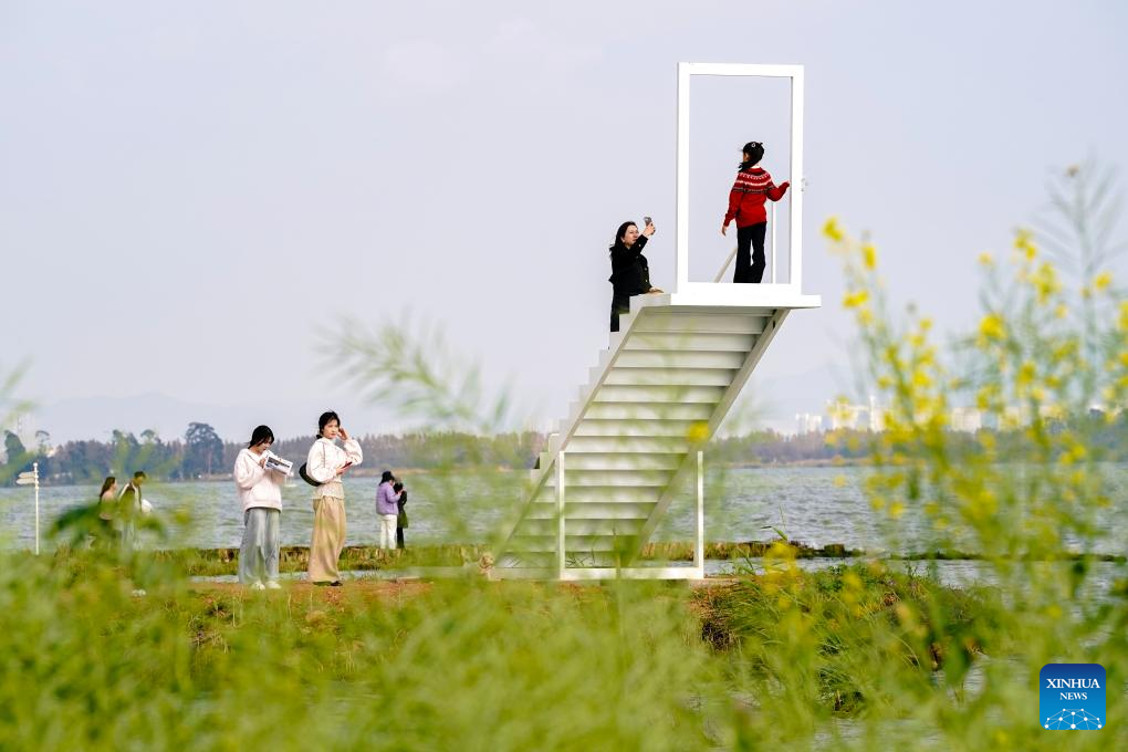 Spring scenery of Dianchi Lake attracts tourists in SW China's Yunnan