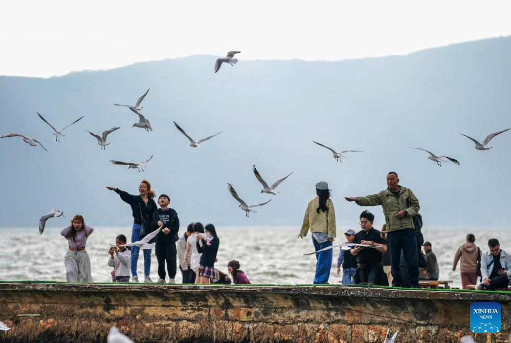 Spring scenery of Dianchi Lake attracts tourists in SW China's Yunnan