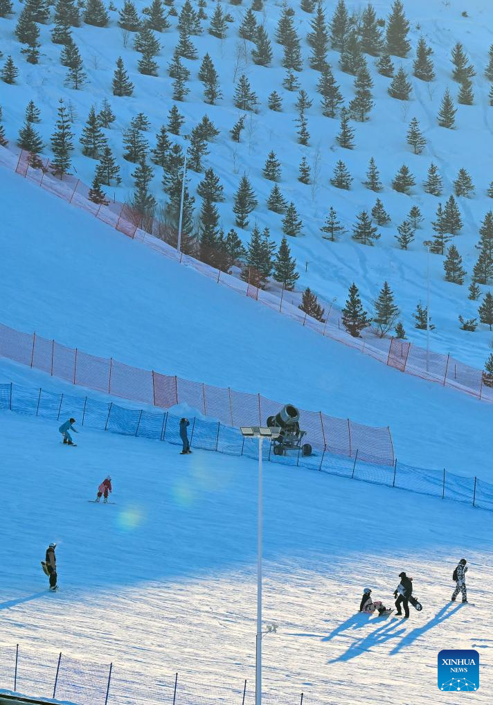 Major ski resorts gain strong popularity in Altay, NW China's Xinjiang