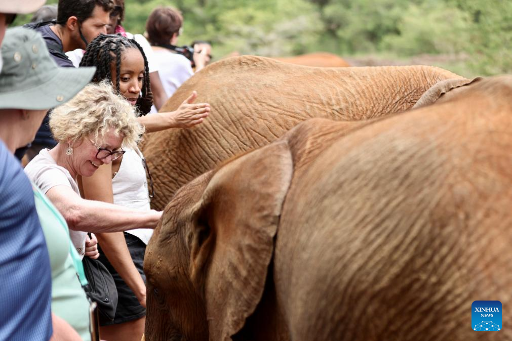 In pics: Elephant Orphanage in Nairobi, Kenya