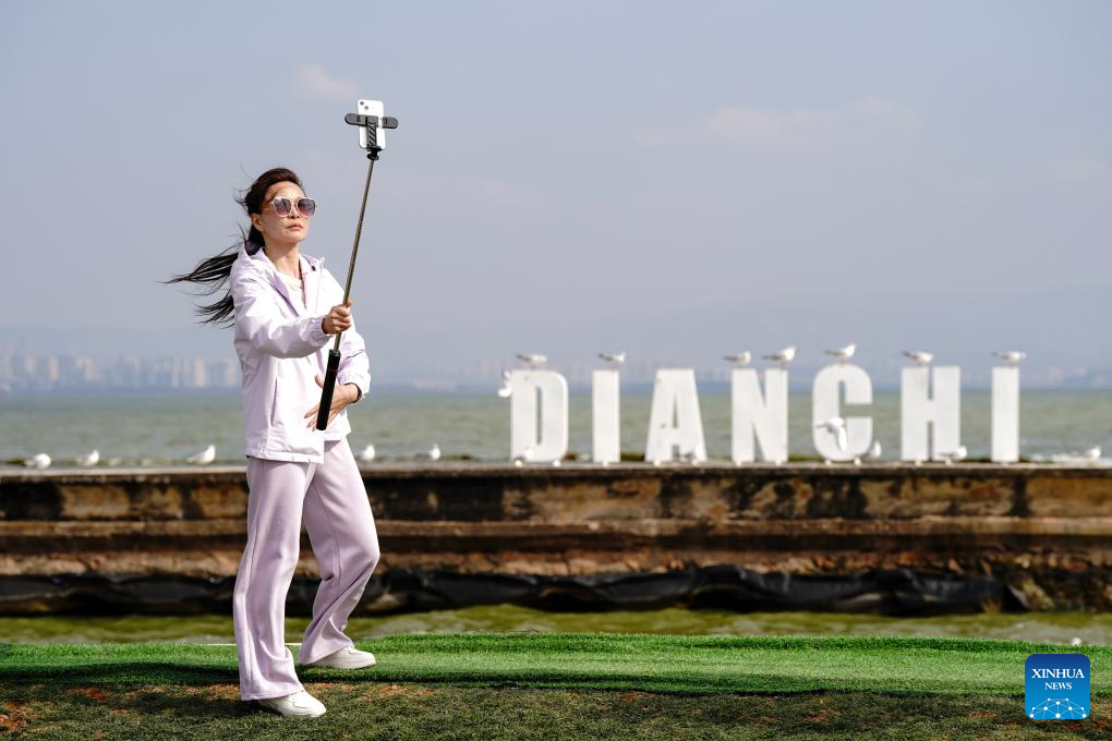 Spring scenery of Dianchi Lake attracts tourists in SW China's Yunnan