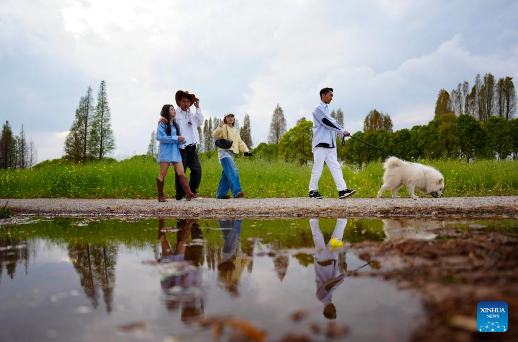 Spring scenery of Dianchi Lake attracts tourists in SW China's Yunnan