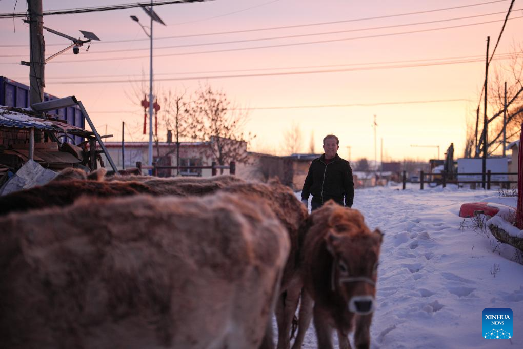 NPC deputy dedicated to rural revitalization