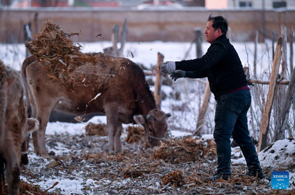 NPC deputy dedicated to rural revitalization